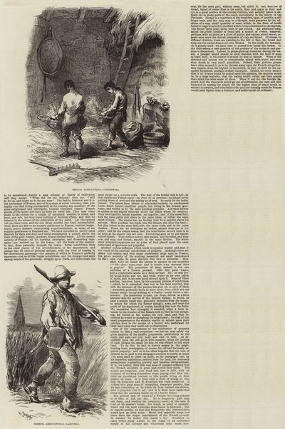 Landwirtschaft in Frankreich von Charles Emile Jacque